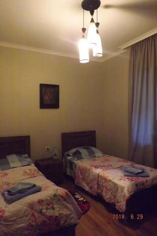 Гостевой дом Guest House Gio Тбилиси Двухместный номер эконом-класса с 2 отдельными кроватями-6